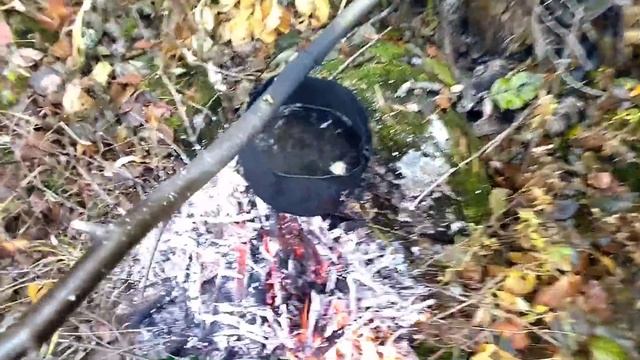 На ТАЁЖНУЮ РЕЧКУ за РЫБОЙ!!! РЫБАЛКА ОСЕНЬЮ или ЛОВЛЯ НАЛИМА НА СТУК!!! ДУШЕВНАЯ РЫБАЛКА!!! смотреть онлайн