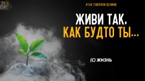 МУДРЫЕ МЫСЛИ - Лучшие Цитаты, Афоризмы, Фразы о жизни со смыслом так говорили великие