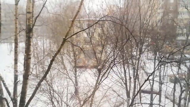 снег в Санкт Петербурге 11 марта вечером смотреть онлайн