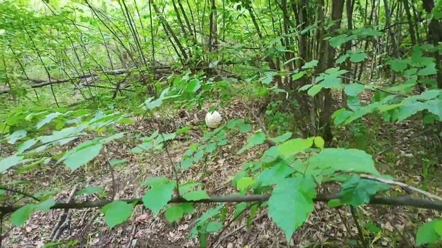 Эпиляция: лучшие методы для разных типов кожи