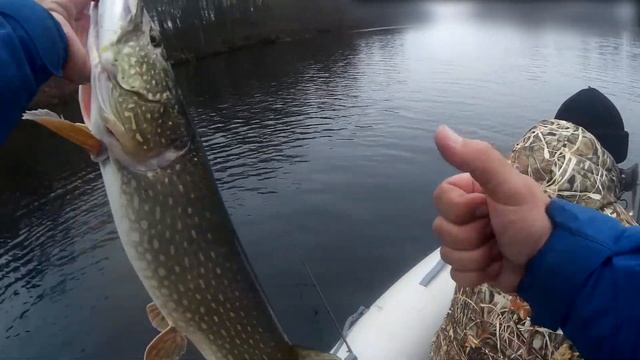 Трофейная щучья рыбалка с крупными приманками Savage Gear / ЩУКА на СВИМБЕЙТЫ смотреть онлайн