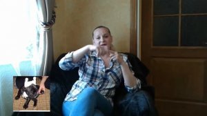 Как поставить ушки французскому бульдогу