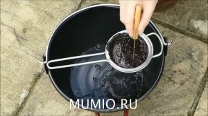Добыча Мумиё