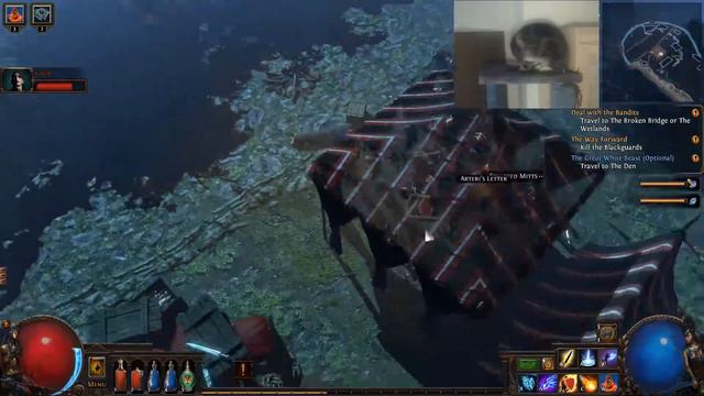 Path of Exile - Pun Run - coop multiplayer - 9 (yup, cat cam) смотреть онлайн