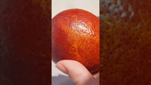 Красный #апельсин 🤤такой нужно #рисовать #живопись #художник смотреть онлайн