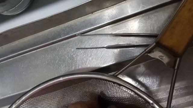 выращивание пиявок дома. Первый этап подготовки производителей к воспроизводству. смотреть онлайн