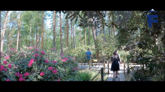 Beautiful Helsinki 🇫🇮, Beautiful HAGA Rhododendron Park! 4K-HDR Walking Tour (14min) смотреть онлайн
