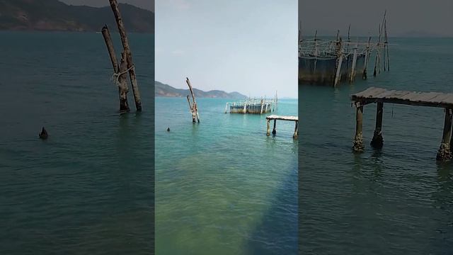 Красоты с Пирса 1 смотреть онлайн