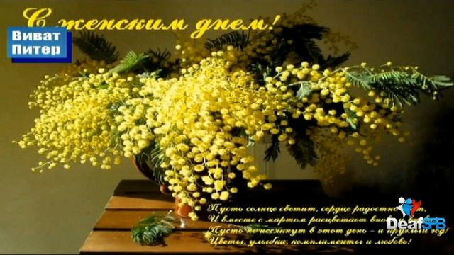 Мимоза / Mimosa (DeafSPB)