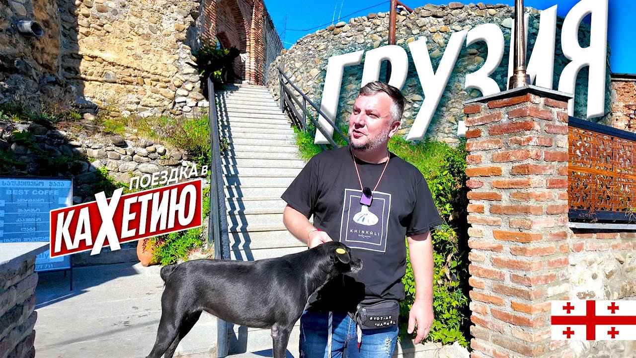 ГРУЗИЯ 2024. ПОЕЗДКА В КАХЕТИЮ. ЕШЬ! ПЕЙ! НАСЛАЖДАЙСЯ! GEORIA SIGHNAGHI смотреть онлайн