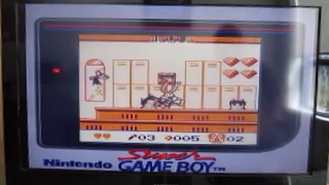 Tiny Toon Adventures Babs' Big Break For The Game Boy смотреть онлайн