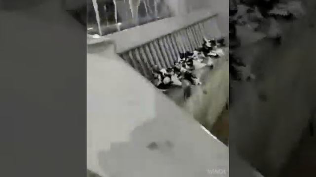 Линия мойки ПВД смотреть онлайн