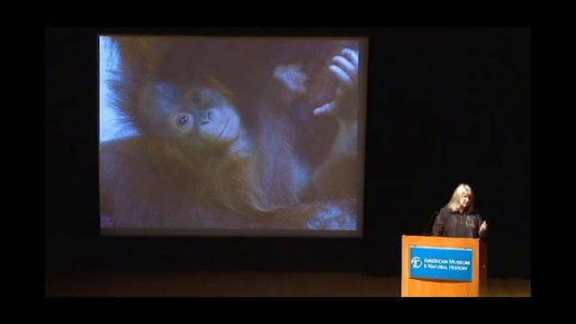 11 Wallace Centenary Galdikas and Orangs смотреть онлайн