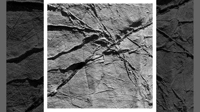 Irene Kountouris aka Raika 1901-1936 смотреть онлайн