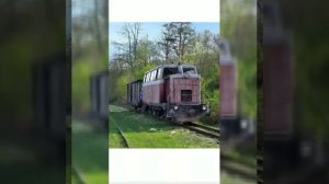 Краснодарский край, Кубань, Апшеронский Район, Шпалорез, Кушинка, Гуамское ущелье, республика Адыге