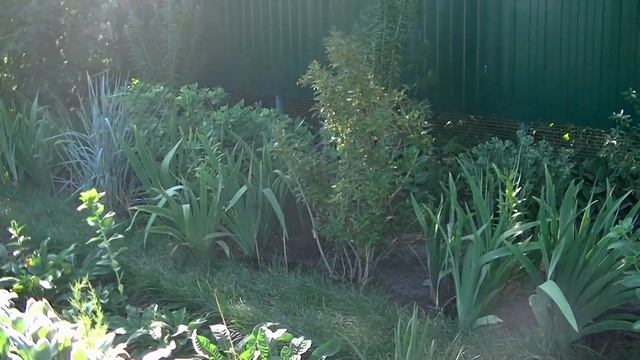 12 СЕНТЯБРЯ НАРОДНЫЕ ПРИМЕТЫ И ПОВЕРЬЯ !! ПРИЗОВИТЕ АНГЕЛА ХРАНИТЕЛЯ НА ПОМОЩЬ !! смотреть онлайн