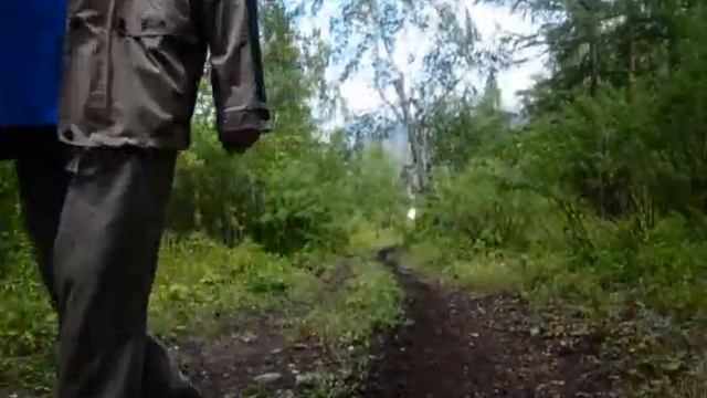 Победители фестиваля "Снежный барс" в заповеднике смотреть онлайн