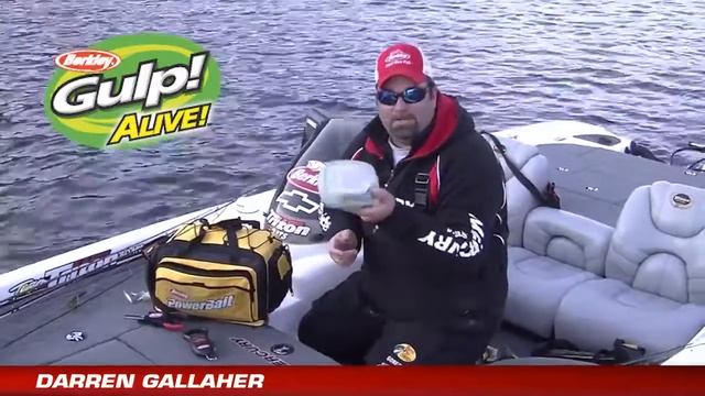 Berkley Gulp Bait Management Container - iboats.com смотреть онлайн