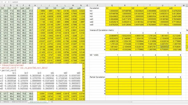 069 Partial Correlation Matirx from Correlation Matrix смотреть онлайн