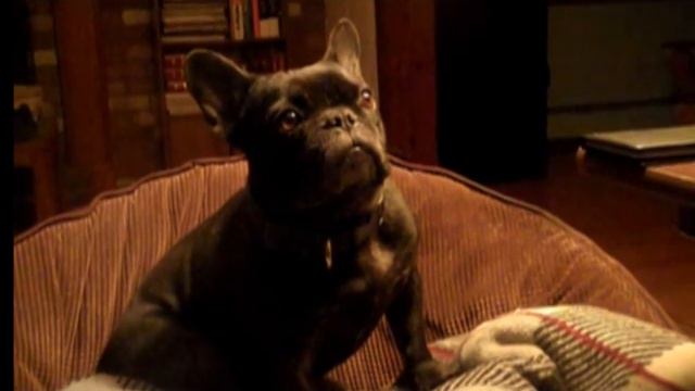 Margo Watches YOUTUBE