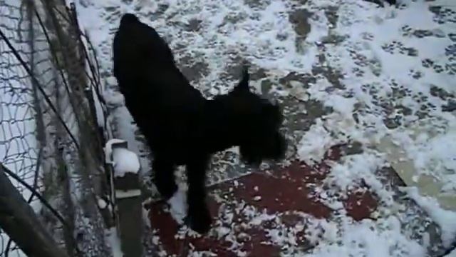 ПЕРВЫЙ СНЕГ В СЕВАСТОПОЛЕ 2011.AVI смотреть онлайн