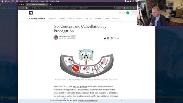 FLOWER VLOG 7: UC Berkeley Talk & Context in Go смотреть онлайн