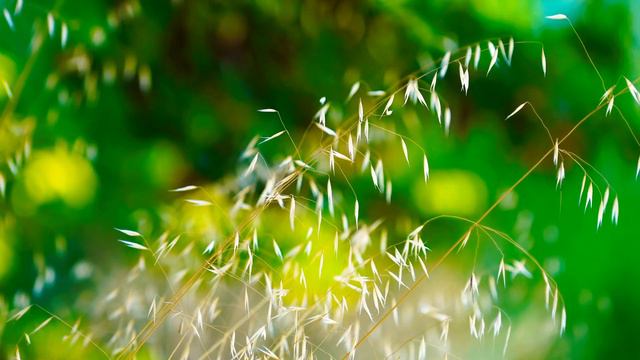 Divine Music for the soul, Magic melody carries away! Close your eyes and relax! смотреть онлайн