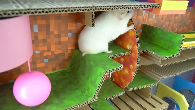 Oh No! Mr Hamster Fell Into The Maze! | Hamster Life смотреть онлайн