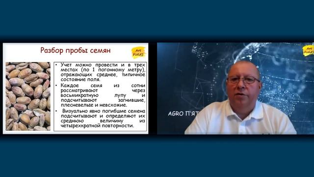 Отбор образцов зерна озимой пшеницы в поле. смотреть онлайн