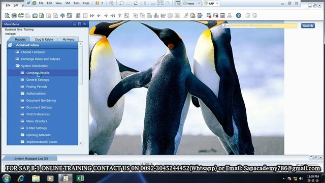 Fixed Asset Module in SAP B-1 ll Activation of Fixed Asset ll 2019 смотреть онлайн