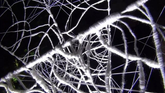 «Искусство света» и «Сад сновидений». Две выставки в одном газгольдере. смотреть онлайн