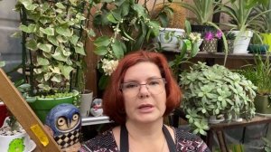 Выбыли некоторые цитрусы, почему....