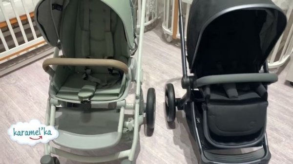 Anex m/type vs Anex l/type