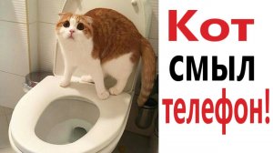 Приколы с котами ржака до слез! С ОЗВУЧКОЙ! - ДО СЛЁЗ! Смешные коты! Самые смешные животные!