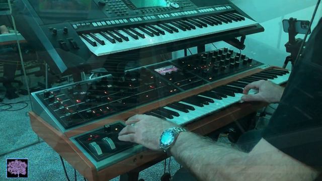 One Voice: Top 15 Moog One Presets from GEOSynths Singularity Volume 3. смотреть онлайн