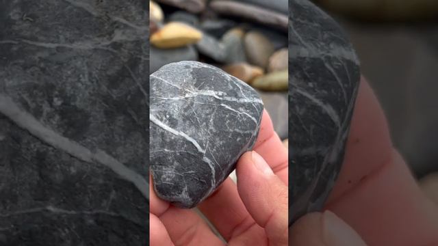 🦓Cebra basalt🦓🙏👍👍#subscribe #today #usa #beautiful #world #share #nature #water #2024 #rock🦓🎵 смотреть онлайн