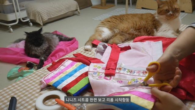 (SUB)VLOG?추석 요리하다가 골로 간 썰 푼다. 추석에 진심인 편. 갈비찜, 잡채, 애호박전, 표고새우전, 꼬지전, 3색연근전, 추석선물용 마카롱 베이킹 까지 смотреть онлайн