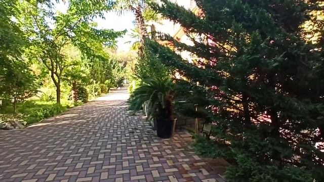 Зоопарк в Ялте смотреть онлайн
