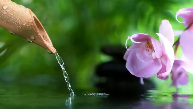 【リラックス BGM】ヒーリングミュージック ｜心 体 脳の疲れが取れる音楽・癒しの瞑想音楽を聞いてリラックス・自律神経を整える音楽｜睡眠用bgm・自然の音