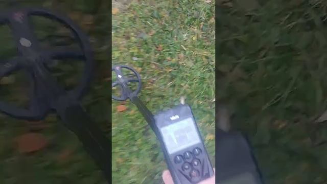 XP Deus и три неуловимые монетки в сложном грунте / XP Deus and 3 coins in difficult soil смотреть онлайн