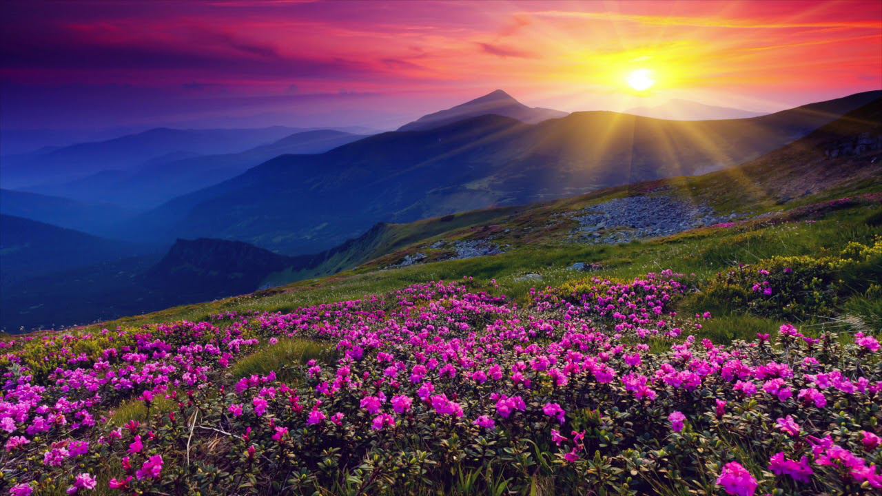 ДиДюЛя - "На рассвете" смотреть онлайн