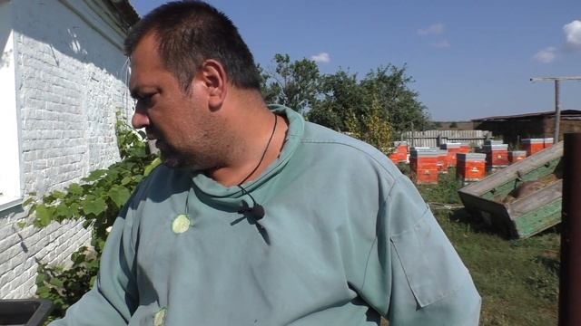 Самая надежная поилка для пчел смотреть онлайн