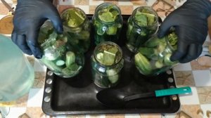 КВАШЕНЫЕ БОЧКОВЫЕ ОГУРЦЫ в ЛИТРОВЫХ БАНКАХ.