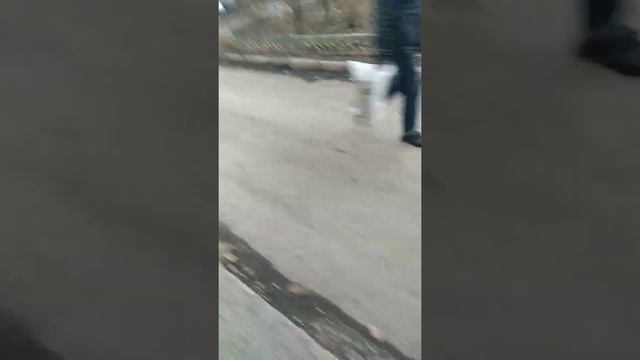 Уличные голуби смотреть онлайн