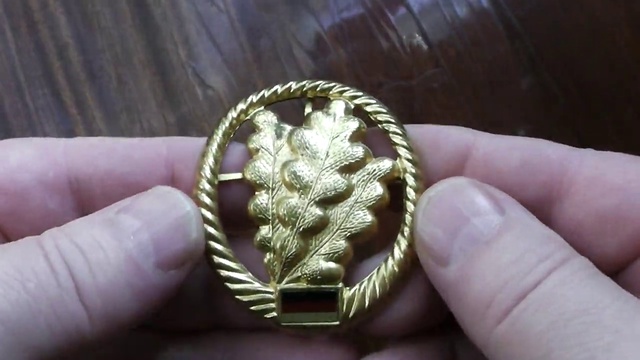 Эмблемы бундесвера. Подразделения разведки