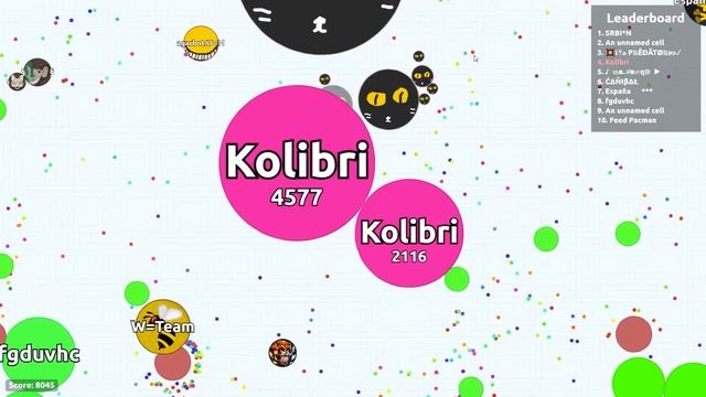 Agario Insane Tricks! Agar.io Solo & Team Gameplay