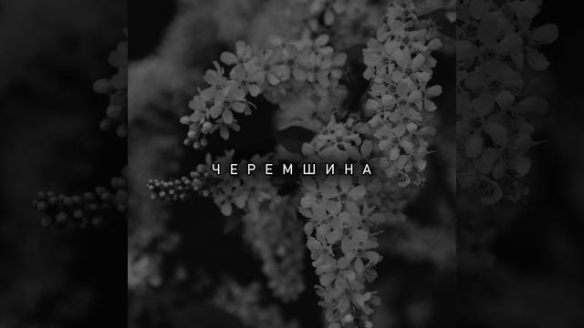 Черемшина смотреть онлайн