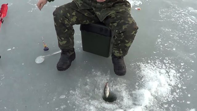 Братуха поймал окуня на Енакиевском море смотреть онлайн