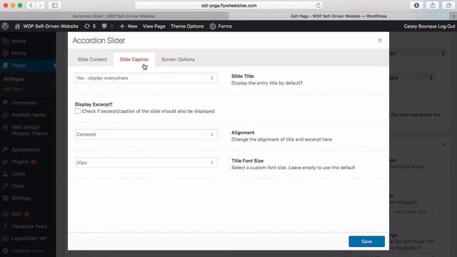 11-Slider - Accordion смотреть онлайн