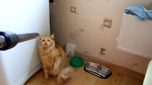 Котэ vs Пылесос смотреть онлайн